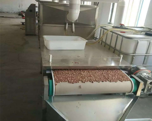 煙臺(tái)某食品廠(chǎng)定制我公司HMWB-48SD微波花生烘烤機(jī)